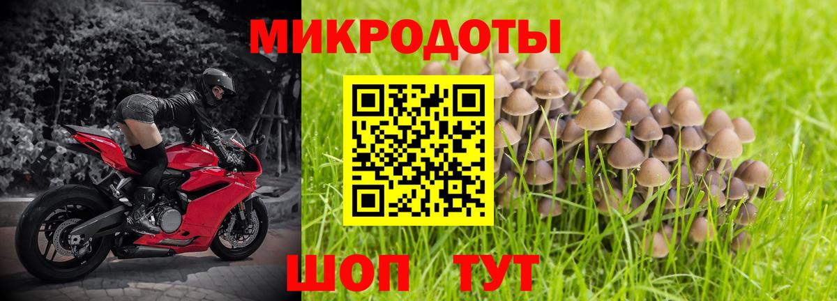 Псилоцибиновые грибы Cubensis Похвистнево